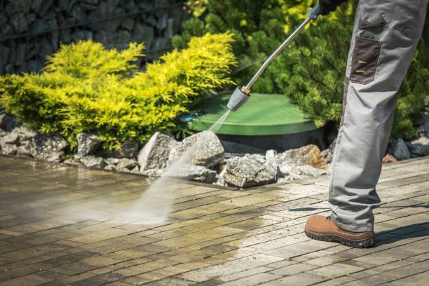 Best House Exterior Washing  in Bluffton, SC